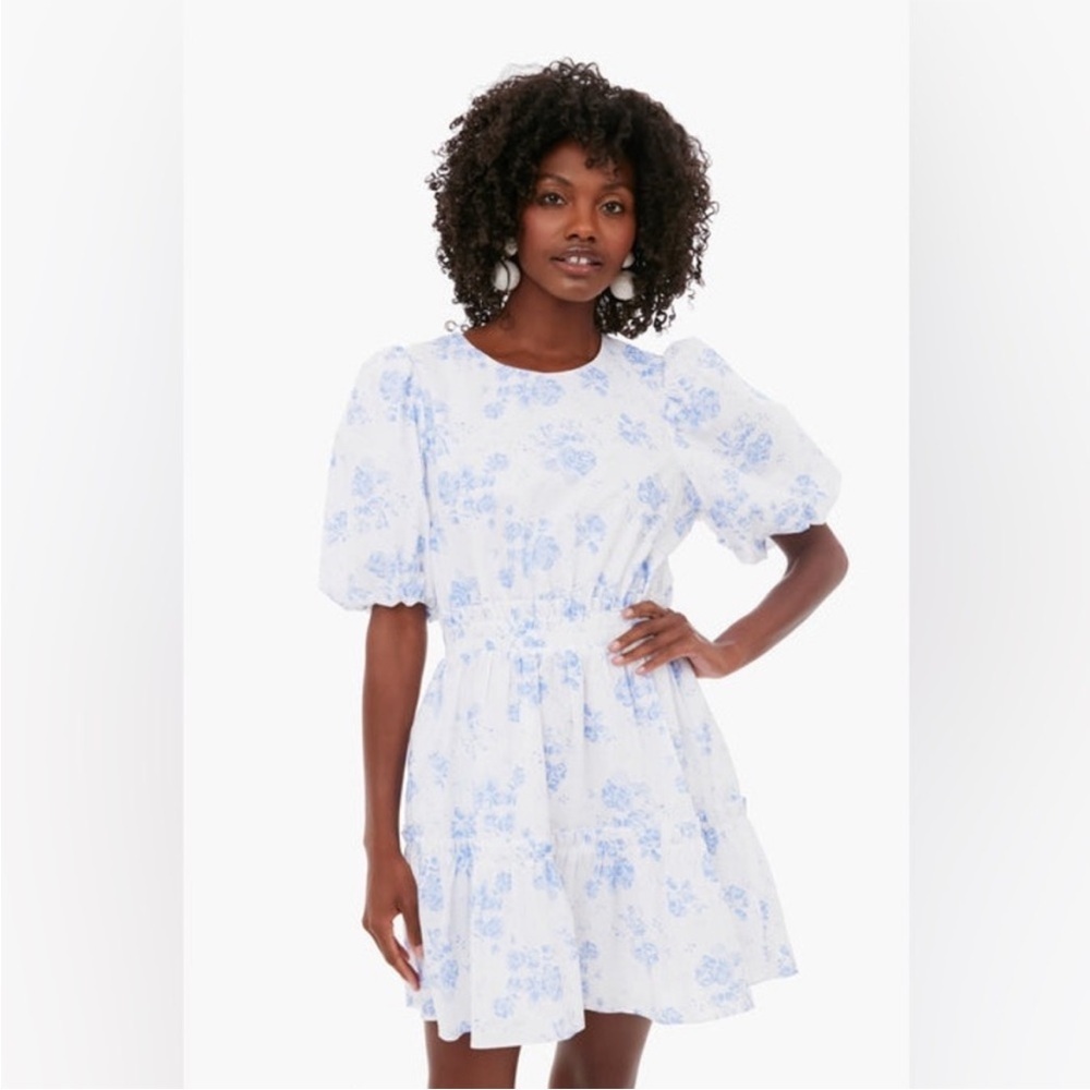 Hyacinth House Tuckernuck Blue Chintz Terry Mini Dress